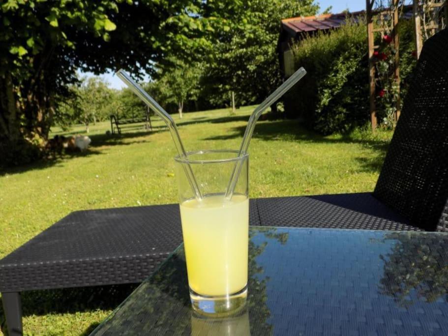 Vue Du Jardin Daire Les Adjots Dış mekan fotoğraf
